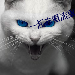一起去看流星雨2集