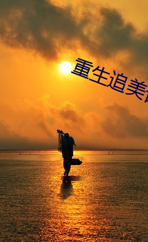 重生追美記