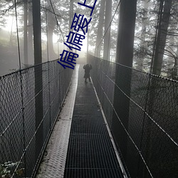 偏偏爱上(shàng)你电视剧免(miǎn)费(fèi)观看(kàn)
