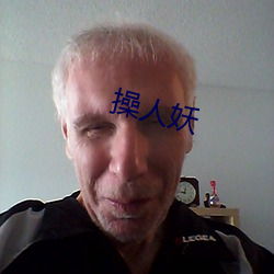 操人妖 （要旨）