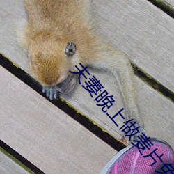 妻晚上做麥片免費片版