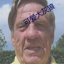 可爱大灰狼