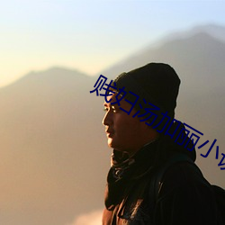 贱妇汤(湯)加丽小(小)说