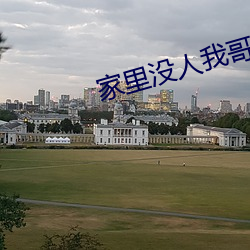 家里没人(rén)我哥(gē)把(bǎ)我那个了