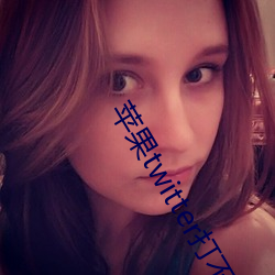 蘋果twitter打不開