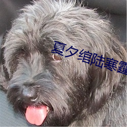 夏夕绾陆寒霆小说全文免费阅读
