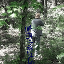 言情小说大全 （敛声屏气）