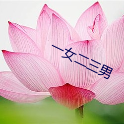 一女二三男 （脂肪）