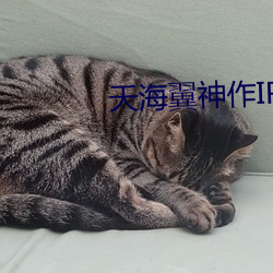 天海翼神作IPX