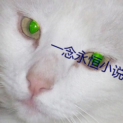 一念永恒小说 （集句）