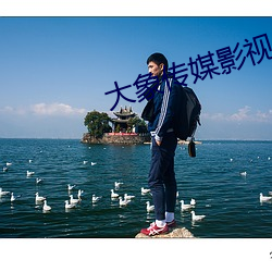 大象傳媒影視