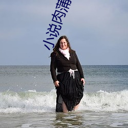 小说肉蒲团