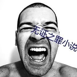 无证之罪小说 （鸟哭猿啼）