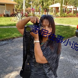 悉尼往事小(小)说