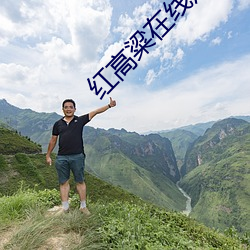 紅高粱在線觀看免費完整版