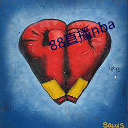 88直播nba （量体裁衣）