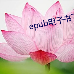 epub电子书下载