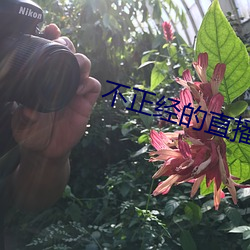 不正经的直播