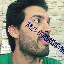 陆少的暖婚新(新)妻全文免费(費)阅读