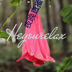 夜晚直播老软件都有哪些 （气力）