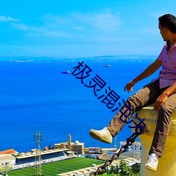 極靈混沌決