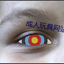成人(人)玩具(具)网站