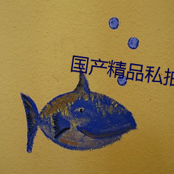 国产精品私拍大尺度
