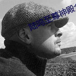 陆鸣至尊神殿全文免费阅读