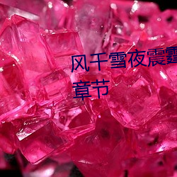 风千雪夜震(震)霆(霆)全文免费阅(閱)读最(最)新章节