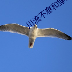 川流(流)不息和(和)穿流(流)不息哪个(個)正确