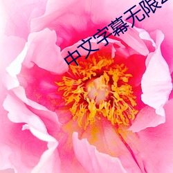 中文(wén)字幕(mù)无限2021