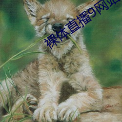 裸体直播9网站