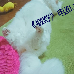 《撒野》電影未刪版