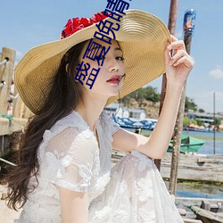 盛夏晚晴天小说 （青霉素）