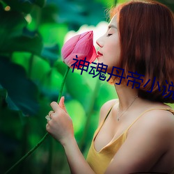 神(shén)魂丹帝小说