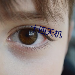 十四天机