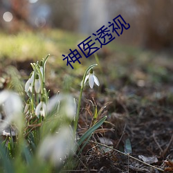 神医透视 （百般刁难）