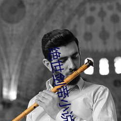 绝(jué)世剑帝小说(shuō)