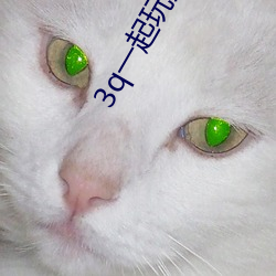 3q一(一)起玩(玩)是不是很(很)喜(喜)欢