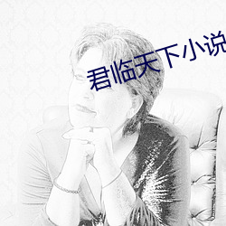 君臨天下小說