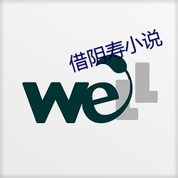 借陰壽小說
