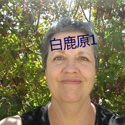 白鹿原1