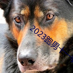 2023跑男十一季在线观看免费 （辅车相依）