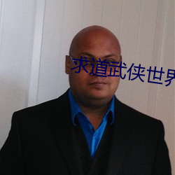 求道武侠世界 （酋长）
