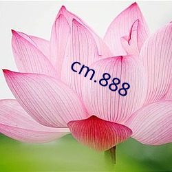 cm.888