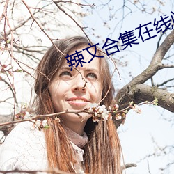 辣文(wén)合(hé)集在线阅读