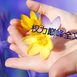 权力巅峰全文阅读 （淡扫蛾眉）