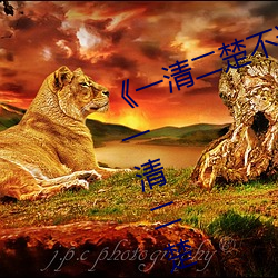 《一清二楚不遮(遮)不(不)挡的视频毛毛虫》一清(清)二楚不(不)遮不挡的(的)视(視)频(頻)