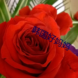 金年会 | 诚信至上金字招牌