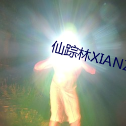 仙蹤林XIANZONGLIN下載